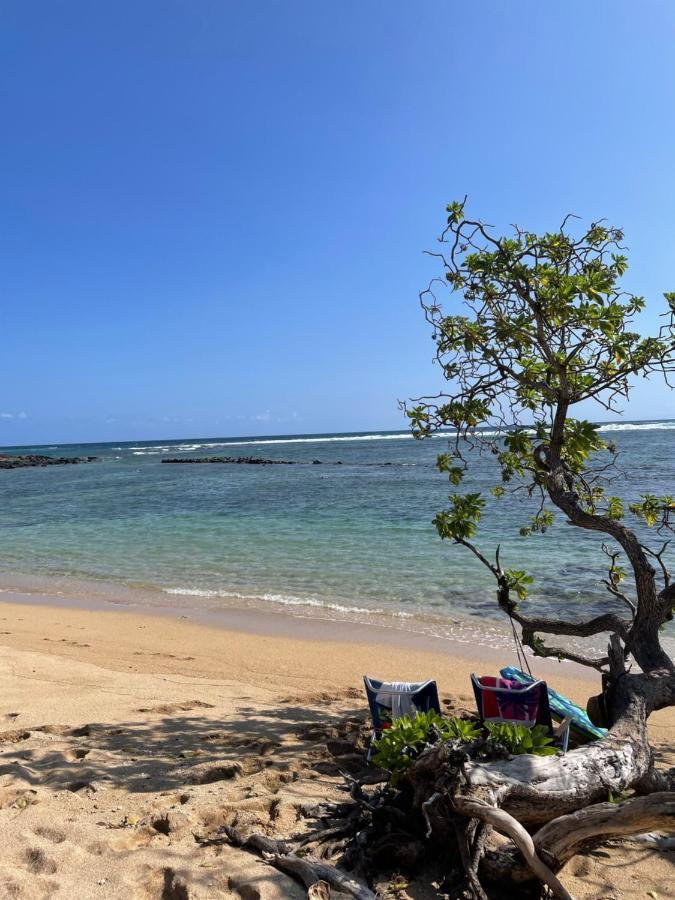 카우나카카이 Ka Hale Kealoha 아파트 외부 사진