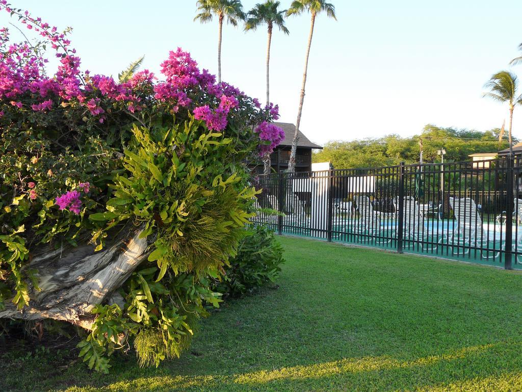 카우나카카이 Ka Hale Kealoha 아파트 외부 사진