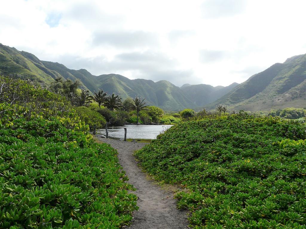 카우나카카이 Ka Hale Kealoha 아파트 외부 사진